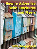 brochure fly