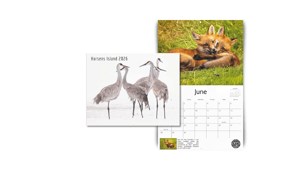Calendars