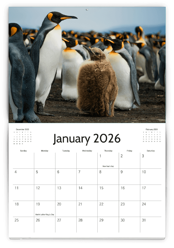 CalendarTemplate_11
