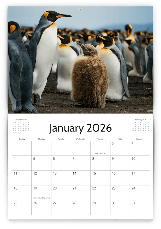 CalendarTemplate_11