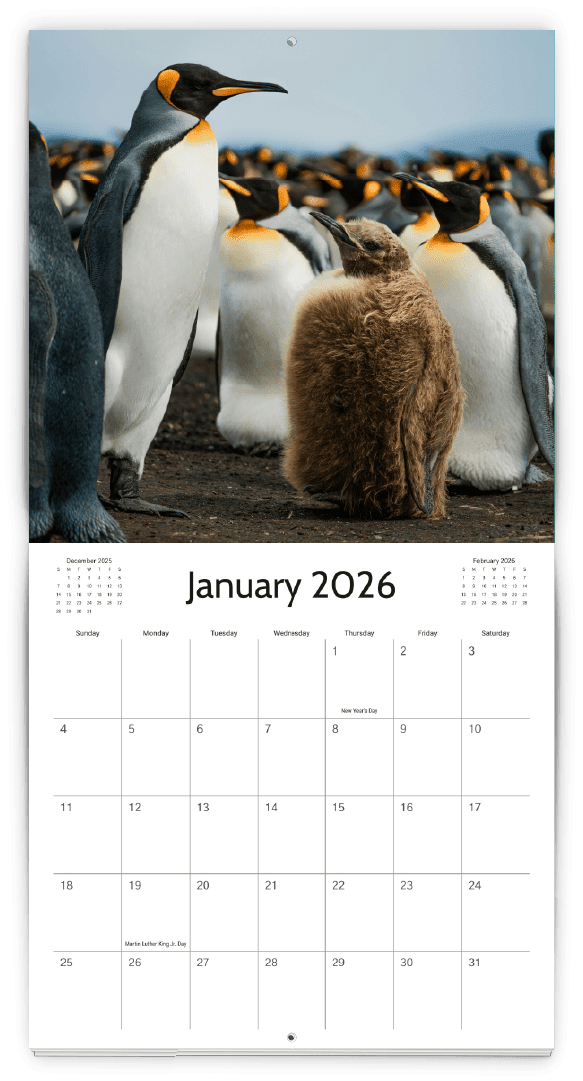 Calendar Templates | PrintingCenterUSA