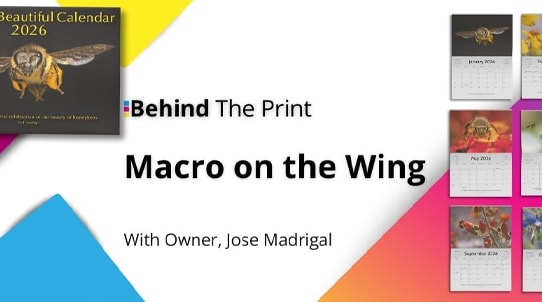Macro on the Wing