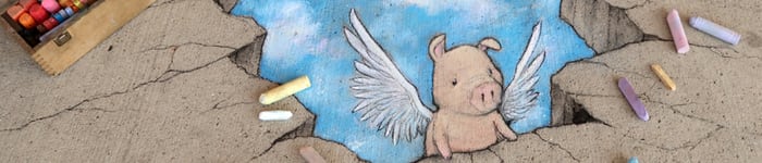 Ambassador David Zinn Banner