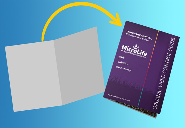 Rack Brochure Printing Rack Brochure Printing
