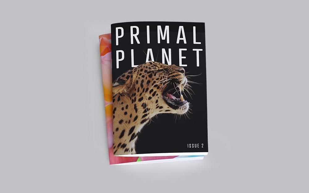 Saddle Stitch Booklet Printing Saddle Stitch Booklet Printing