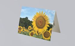 Greeting Card Printing Greeting Card Printing