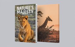 Hardcover Book Hardcover Book