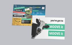 Jumbo Postcards Jumbo Postcards