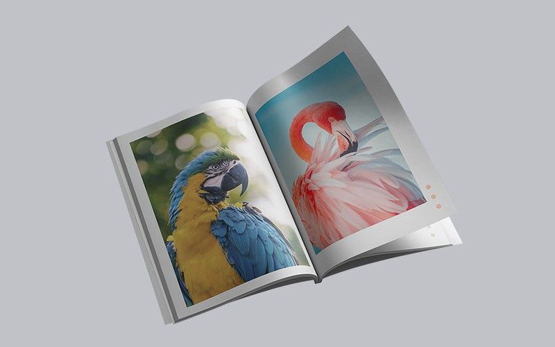 Custom Magazines Custom Magazines