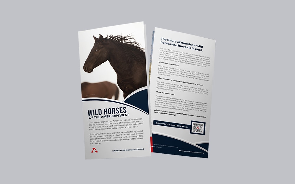 Rack Brochures Rack Brochures